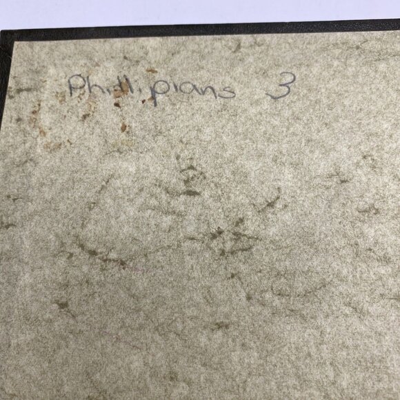 THE LIVING BIBLE Paraphrased 1973 Tyndale House Green Padded Hardcover - Picture 14 of 16